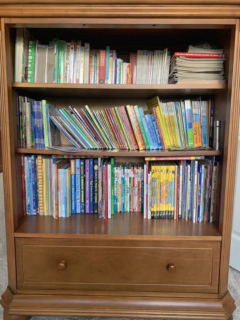 The kids' bookshelf with a large section taken up by Berenstain Bears books