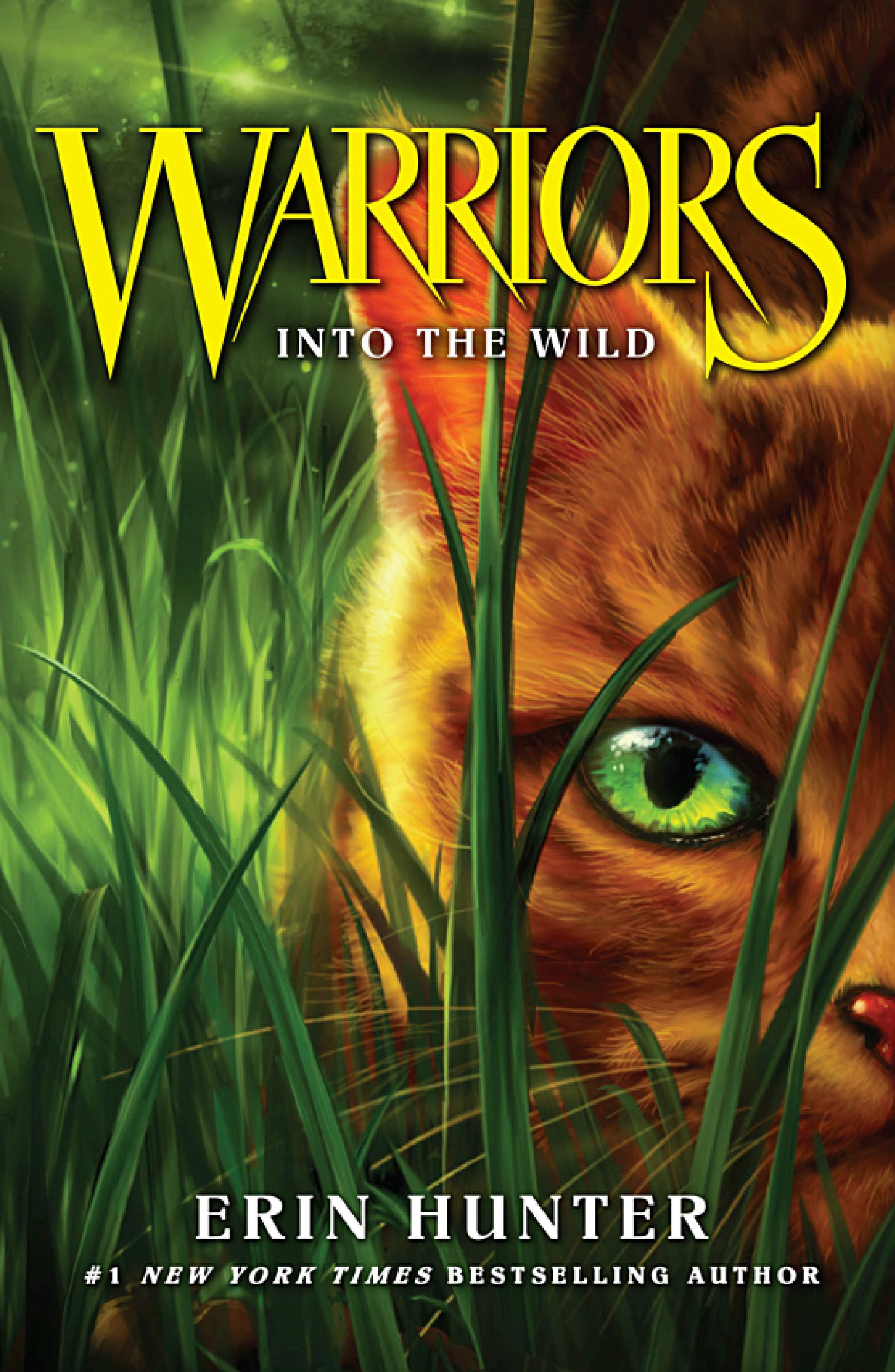 Into the Wild cover